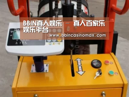 BBIN登录案例展示三