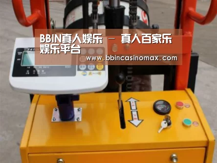BBIN登录案例展示三(图1)