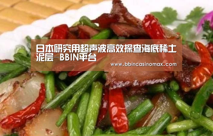 日本研究用超声波高效探查海底稀土泥层-BBIN平台(图1) BBIN足球