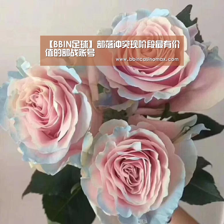 【BBIN足球】部落冲突现阶段最有价值的部战账号(图2) BBIN登录