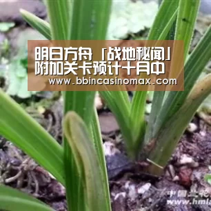 明日方舟「战地秘闻」附加关卡预计十月中旬限时开放|BBINAPP(图2) BBIN足球
