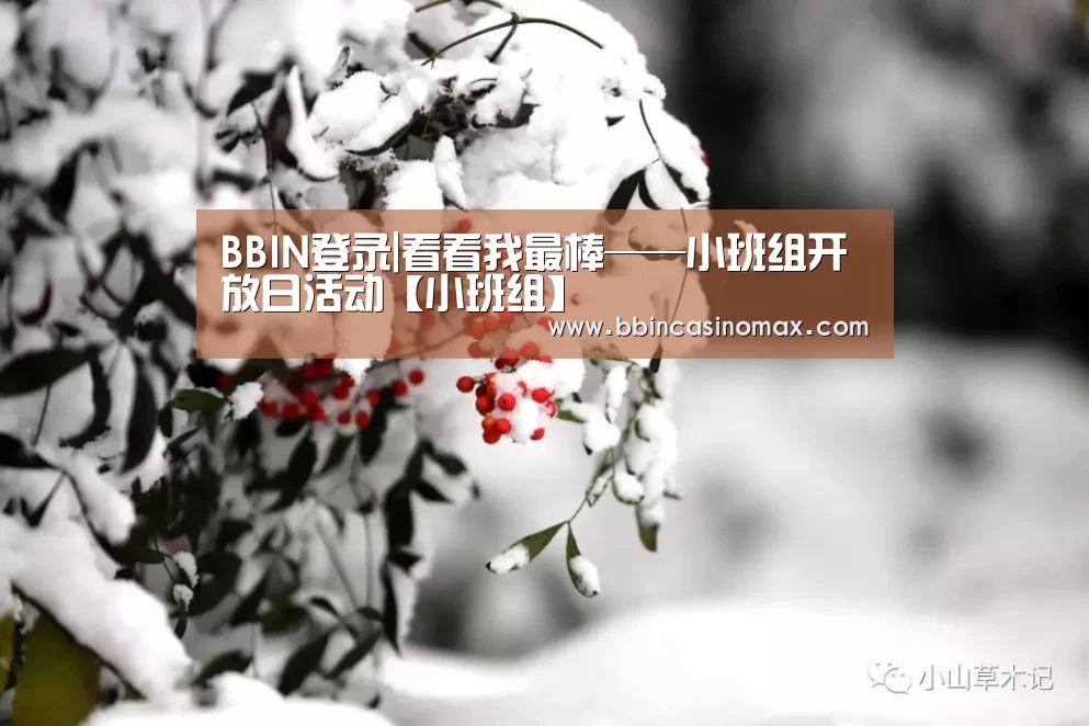 BBIN登录|看看我最棒——小班组开放日活动【小班组】(图2) BBIN足球