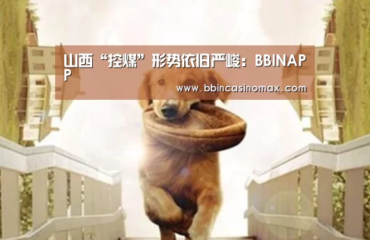 山西“控煤”形势依旧严峻:BBINAPP(图1) BBIN足球