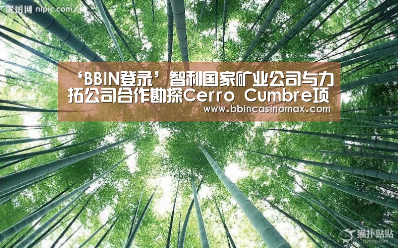 ‘BBIN登录’智利国家矿业公司与力拓公司合作勘探Cerro Cumbre项目(图3) BBIN平台