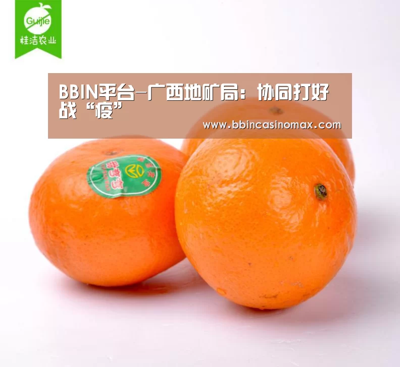 BBIN平台-广西地矿局:协同打好战“疫”(图1) BBIN登录