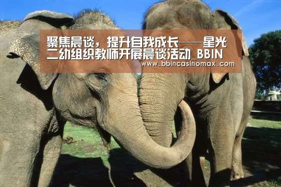 聚焦晨谈,提升自我成长——星光二幼组织教师开展晨谈活动_BBIN足球(图3) BBIN足球