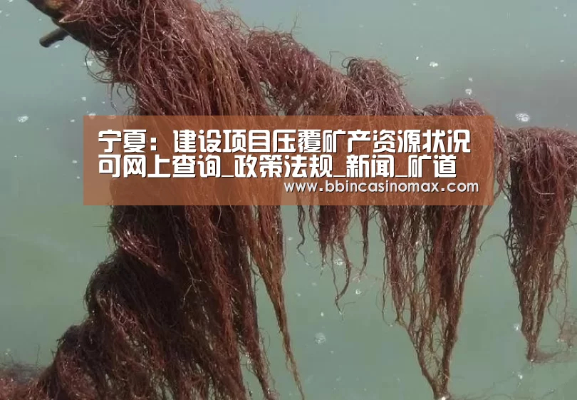 宁夏:建设项目压覆矿产资源状况可网上查询_政策法规_新闻_矿道网“BBIN平台”(图1) BBIN足球