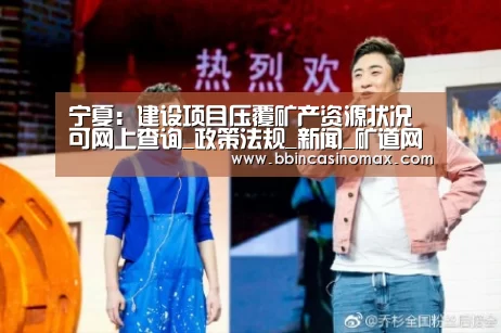 宁夏:建设项目压覆矿产资源状况可网上查询_政策法规_新闻_矿道网“BBIN平台”(图3) BBIN平台